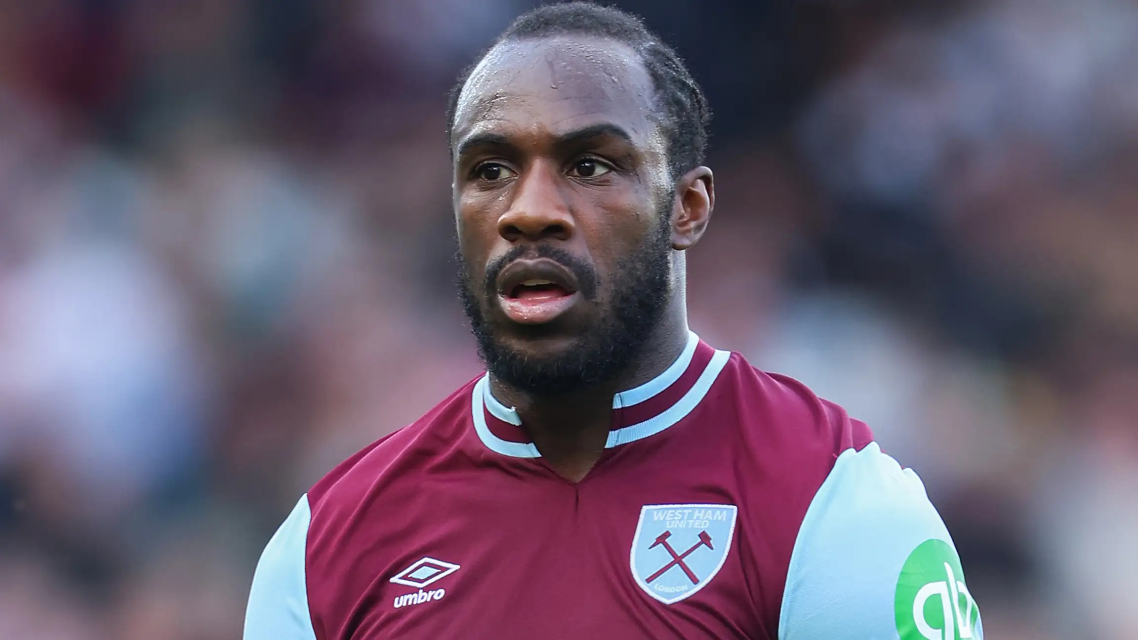 Michail Antonio